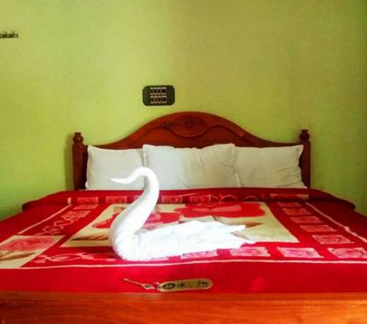 Wild life resort