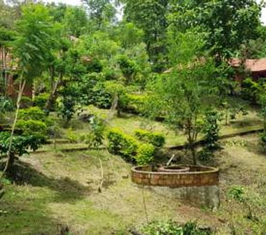 Wild life resort