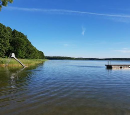 Tannenzapfen