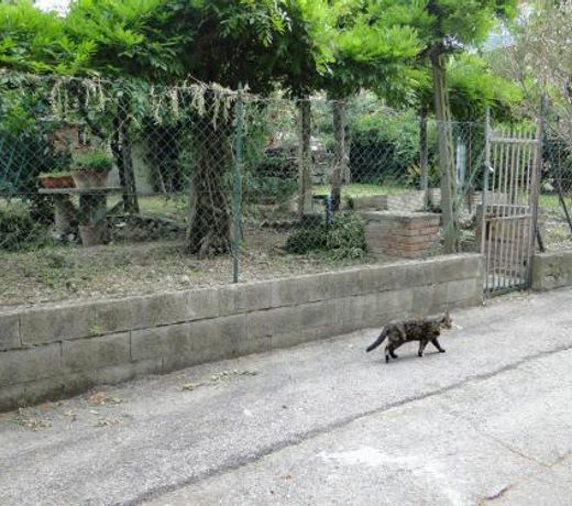 Via del Toppo, 4
