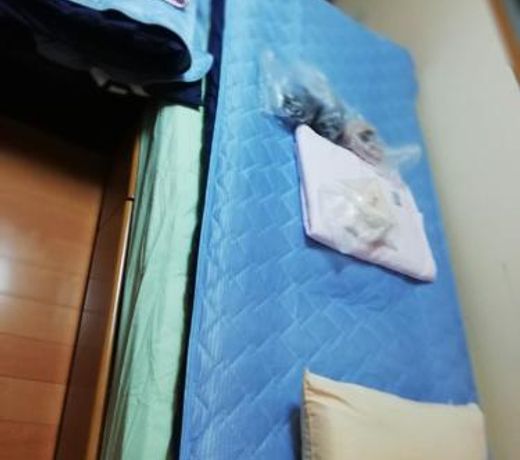 Cottage Ureshino