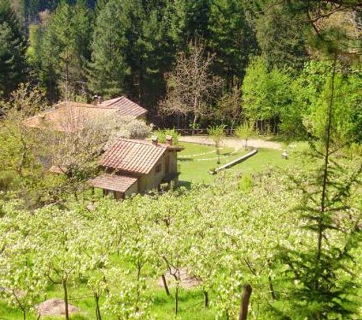 House with one bedroom in Bibbiena with wonderful mountain view shared pool furnished garden
