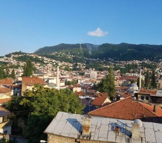 Curovac View