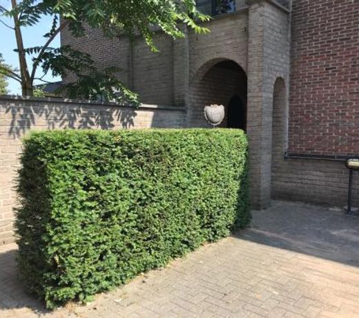 Vakantiehuis Piantho