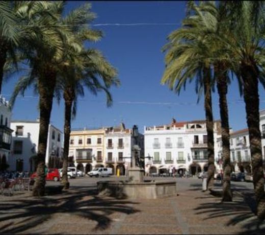Apartamento Plaza Grande