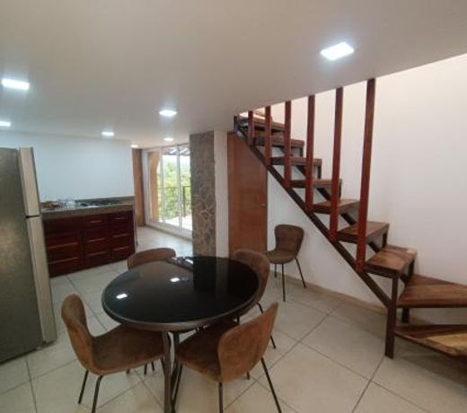 Palmas de Chahue