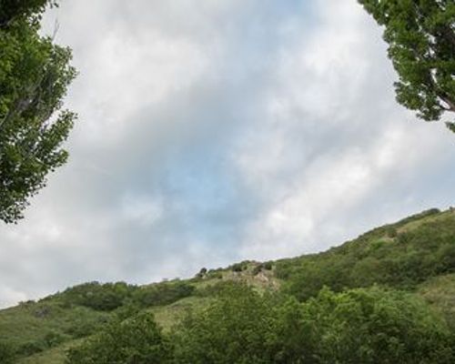 Курорт Apricot Aghveran - Агверан - фото 20