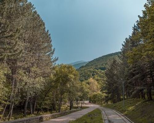 Курорт Apricot Aghveran - Агверан - фото 22