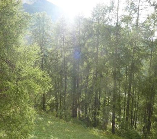 Appartement Les Orres, 2 pièces, 6 personnes - FR-1-322-322