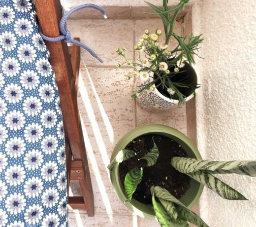 Anemomylos guesthouse