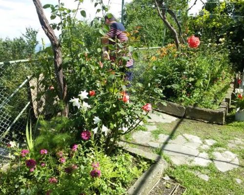 Guesthouse Kiko - Сигнахи - фото 18