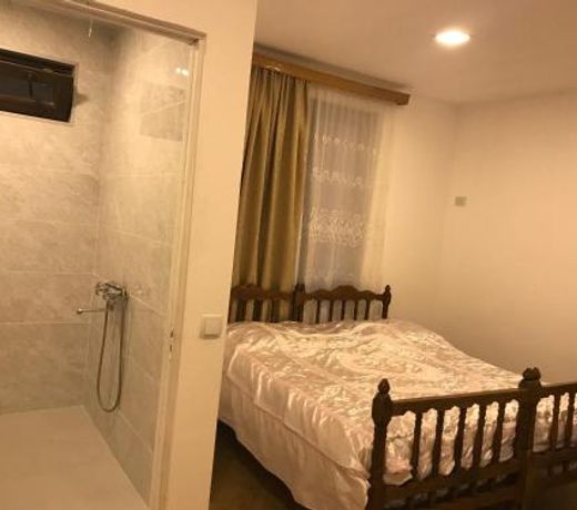 Guest House - Zviad & Natia