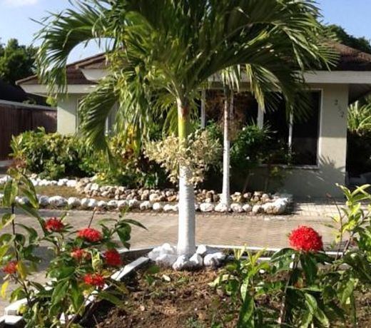 The Palms