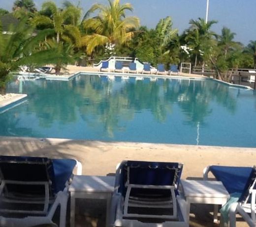 The Palms
