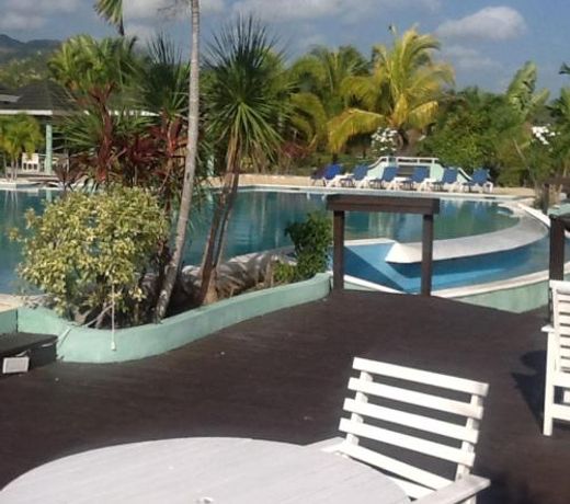 The Palms