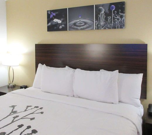 Sleep Inn & Suites- Clarksville