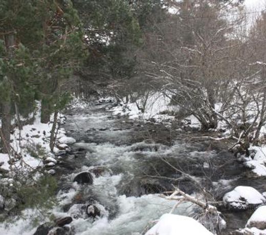 El JardÃ­n de Alameda