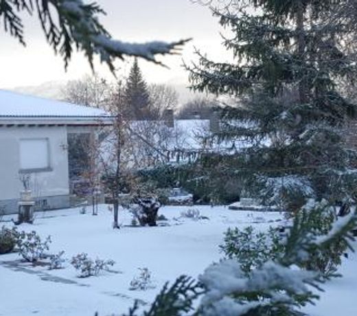 El JardÃ­n de Alameda