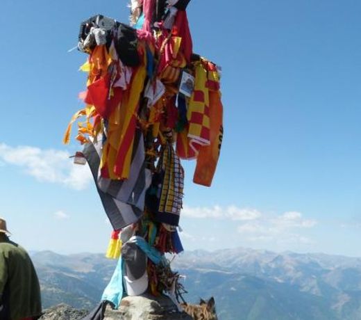 les jardins du palais