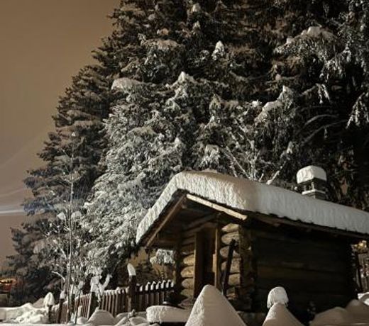 Chalet Blanc "Le Flocon"