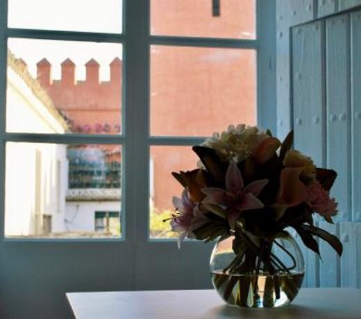 Apartamentos Boutique Vida