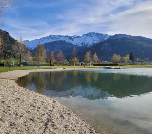 Profelt`s Apartments Uttendorf - Steinbock Lodges