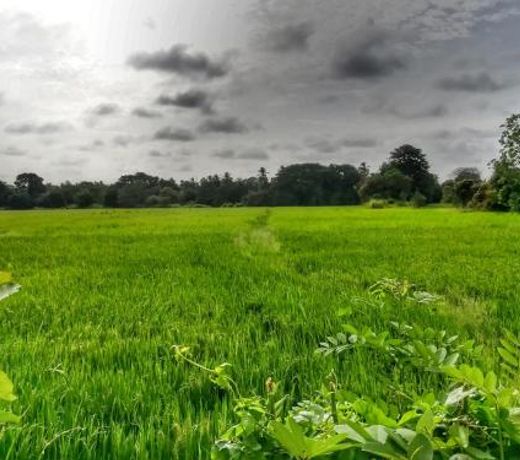 Coco Garden Holiday Homes