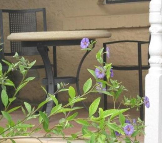 Amalie Cottage Waikerie Unit 1