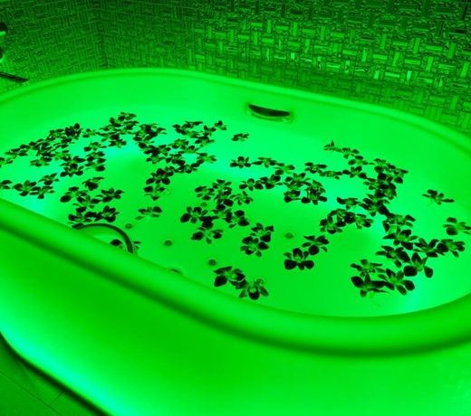 Hotel Eldia Luxury Kobe (Adult Only)