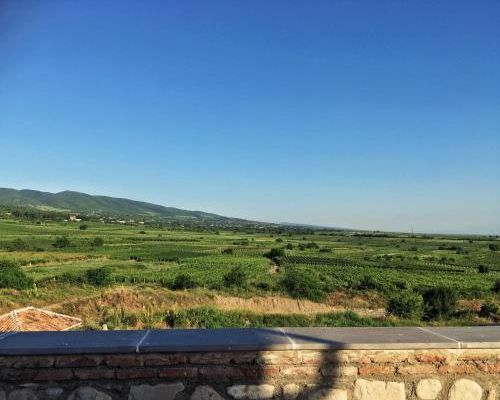 Elizbar Talakvadze Winery - Сигнахи - фото 4