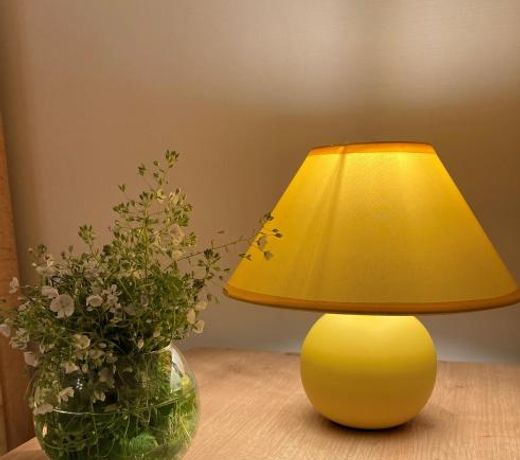 Borjomi Yellow Hotel