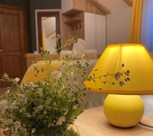 Borjomi Yellow Hotel