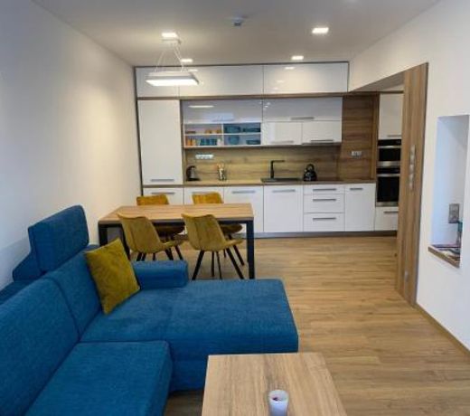 Wellness & Spa Apartments Lipno - Frymburk