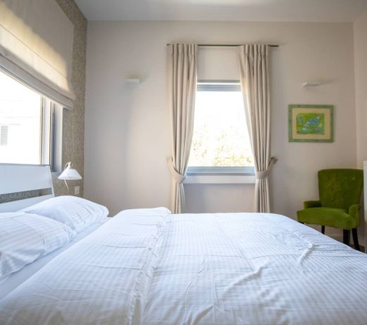 Luxury Apartment in "Habima" Square