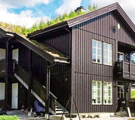 Apartment Skulestadmo