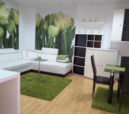 DELUX duplex apartment