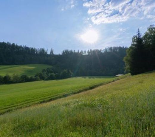 Getznerhof