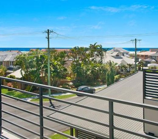 Pandanus - Lennox Head