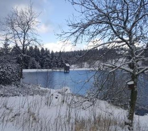 Hahnenklee Ferienpark 1-411