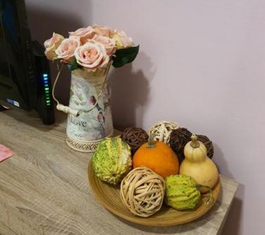 Studio Apartman Ld U Strogom Centru