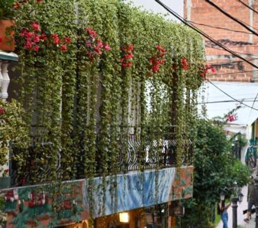 Hotel El Paisaje