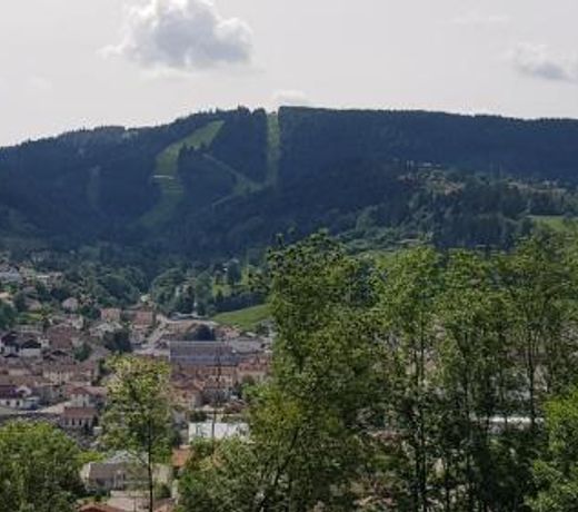 F2 SUR LES HAUTEURS DE GERARDMER