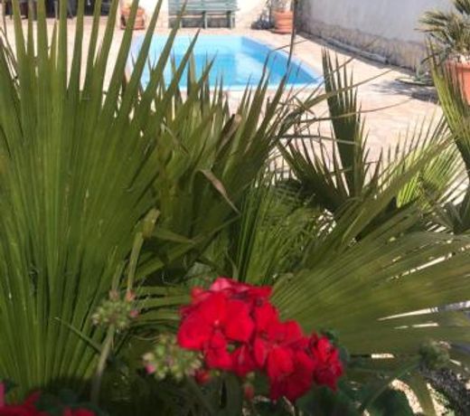 W&B Pomezia