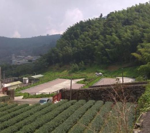 Chuxu Homestay