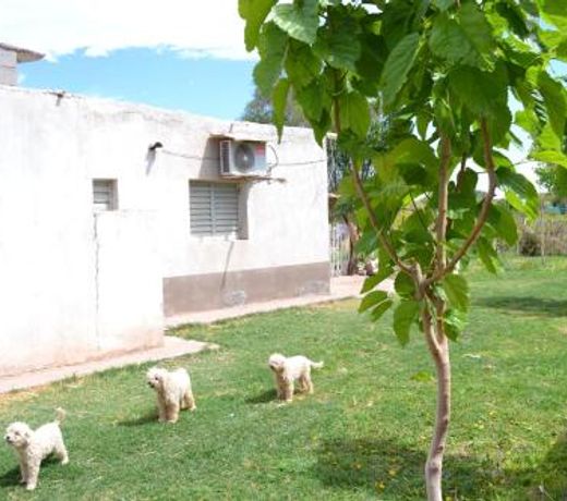 Hospedaje Las Termas