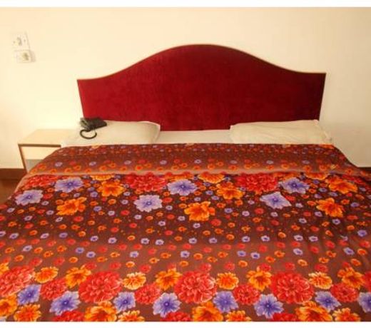 Hotel Mansarovar Palace