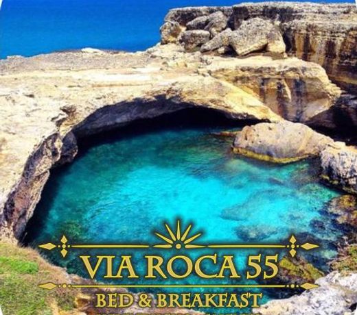 Via Roca 55