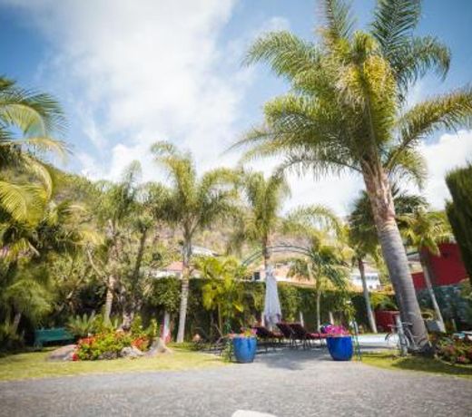 Quinta da Tia Briosa by Madeira Sun Travel