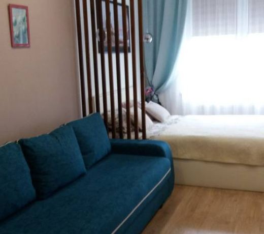 Apartment on Shamanova 5