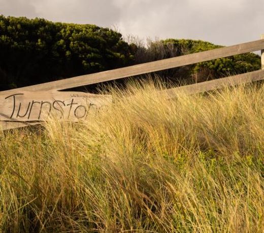 Turnstone Beach House
